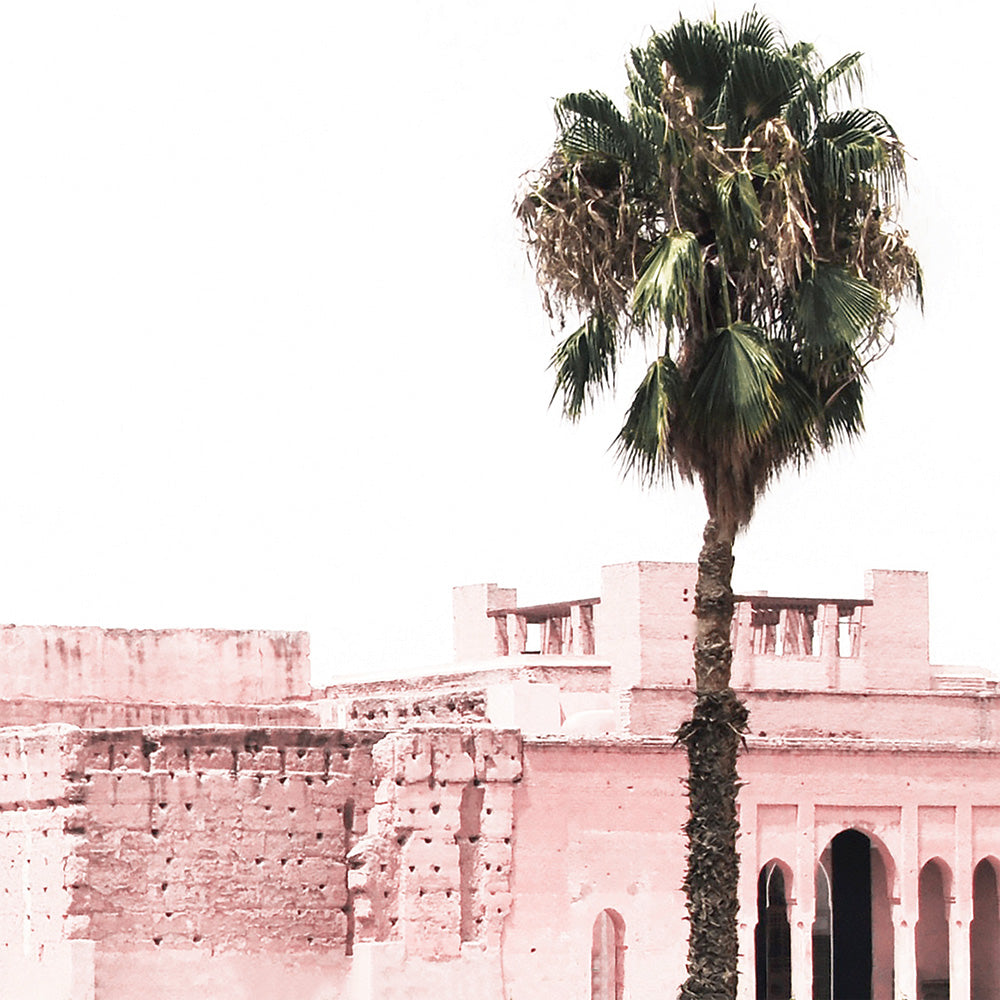 Ancient Pink