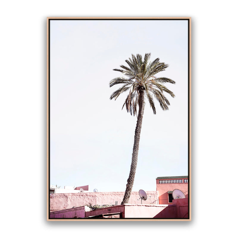 Moroccan Palm