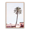 Moroccan Palm