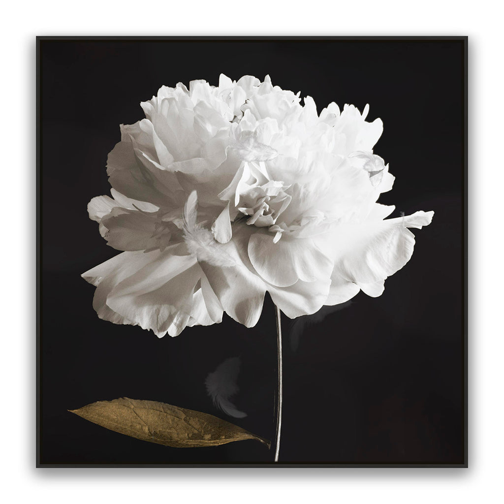 Noir Bloom