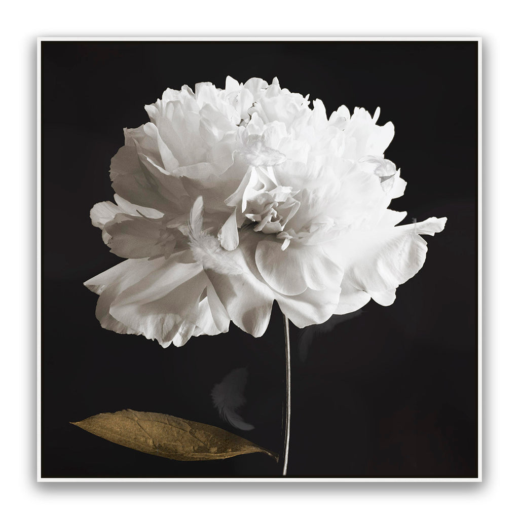 Noir Bloom