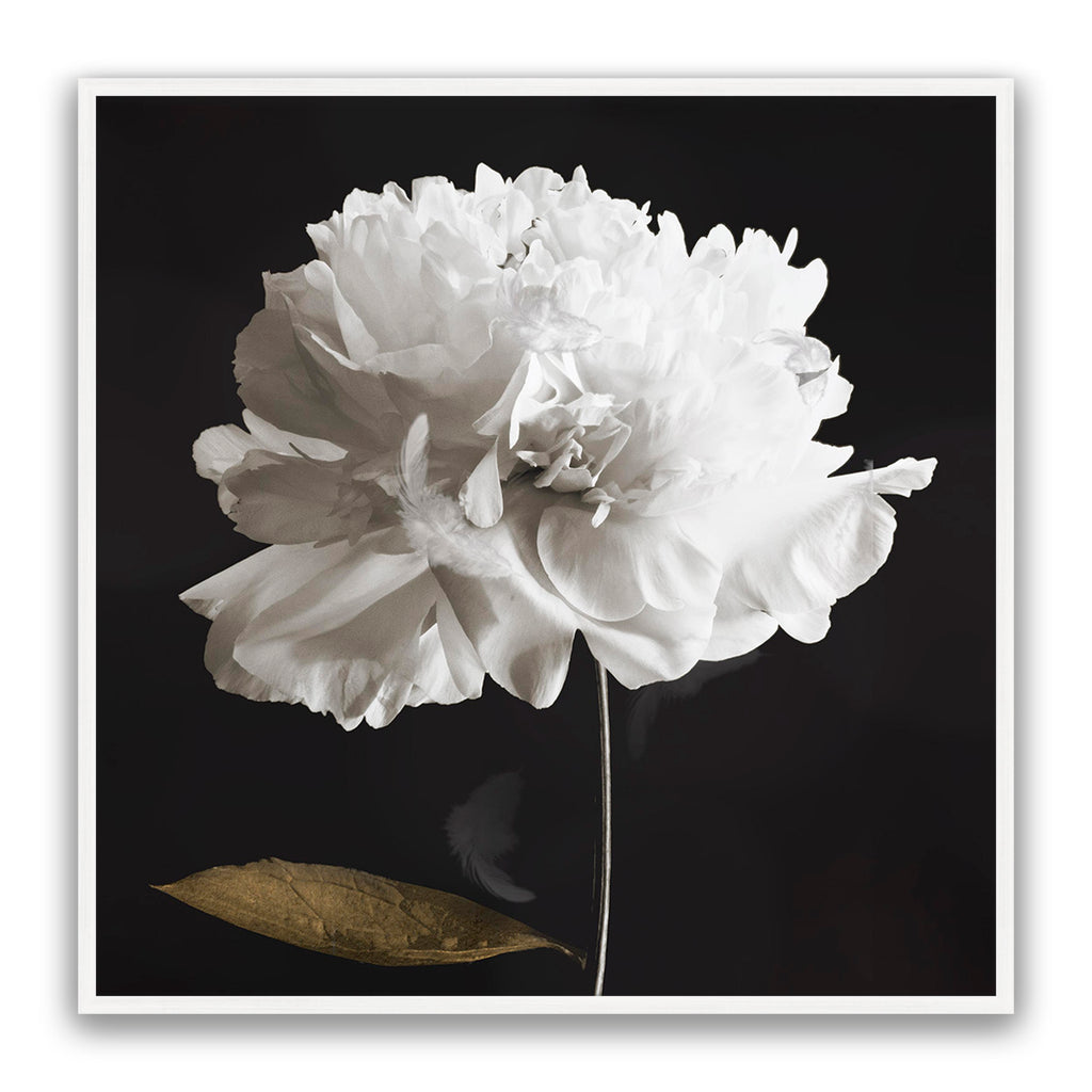 Noir Bloom