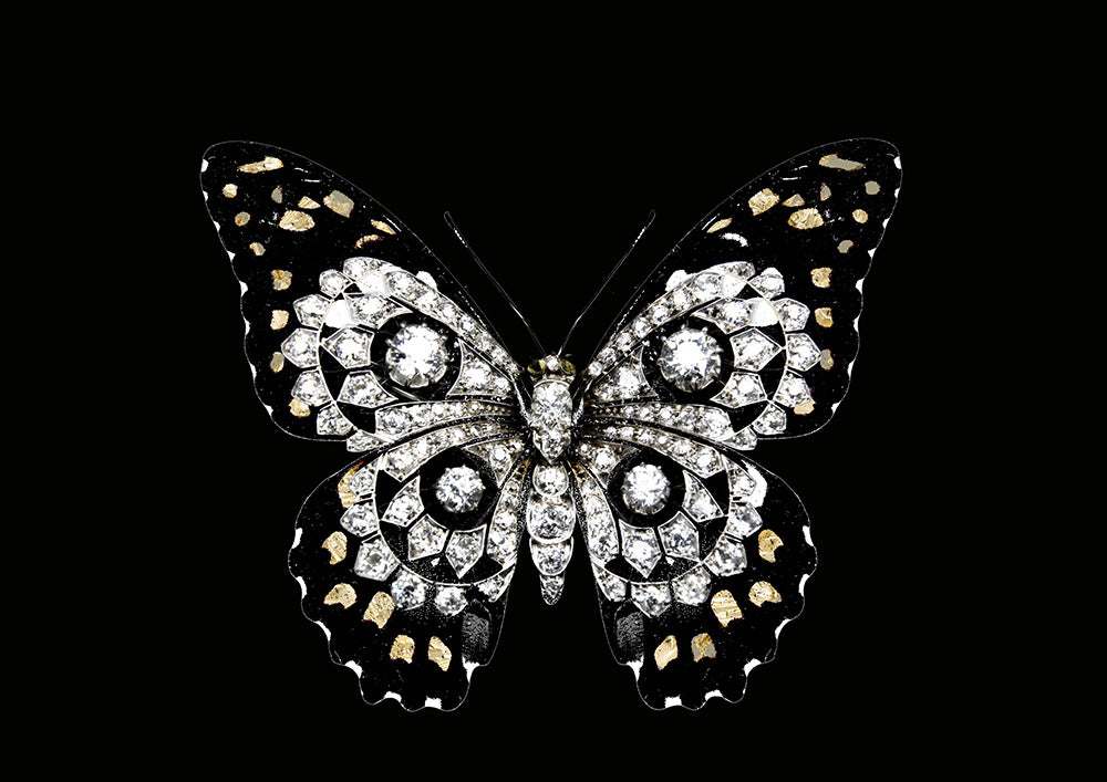 Jewel Butterfly