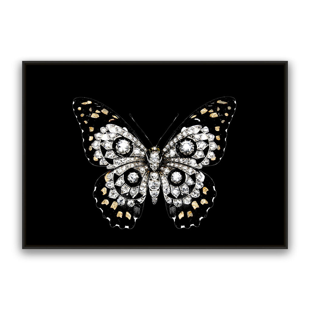 Jewel Butterfly