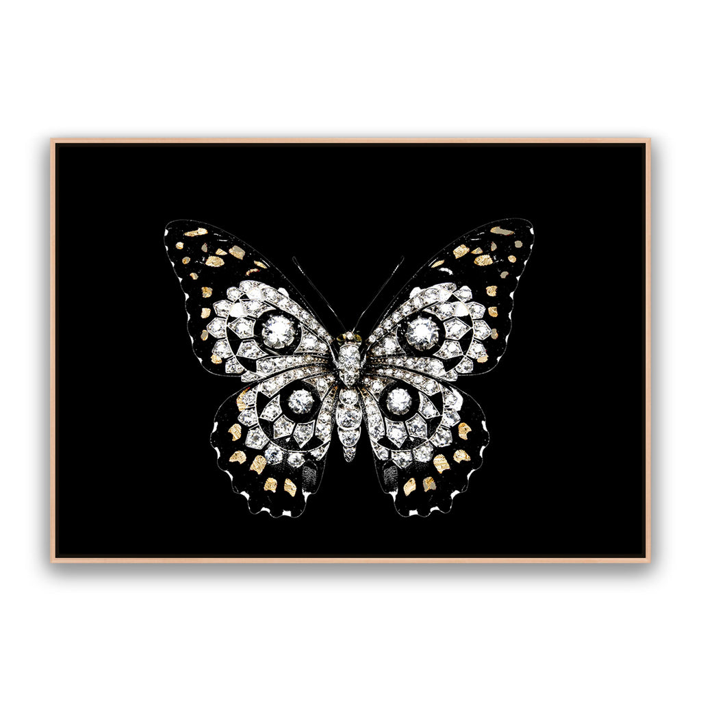 Jewel Butterfly