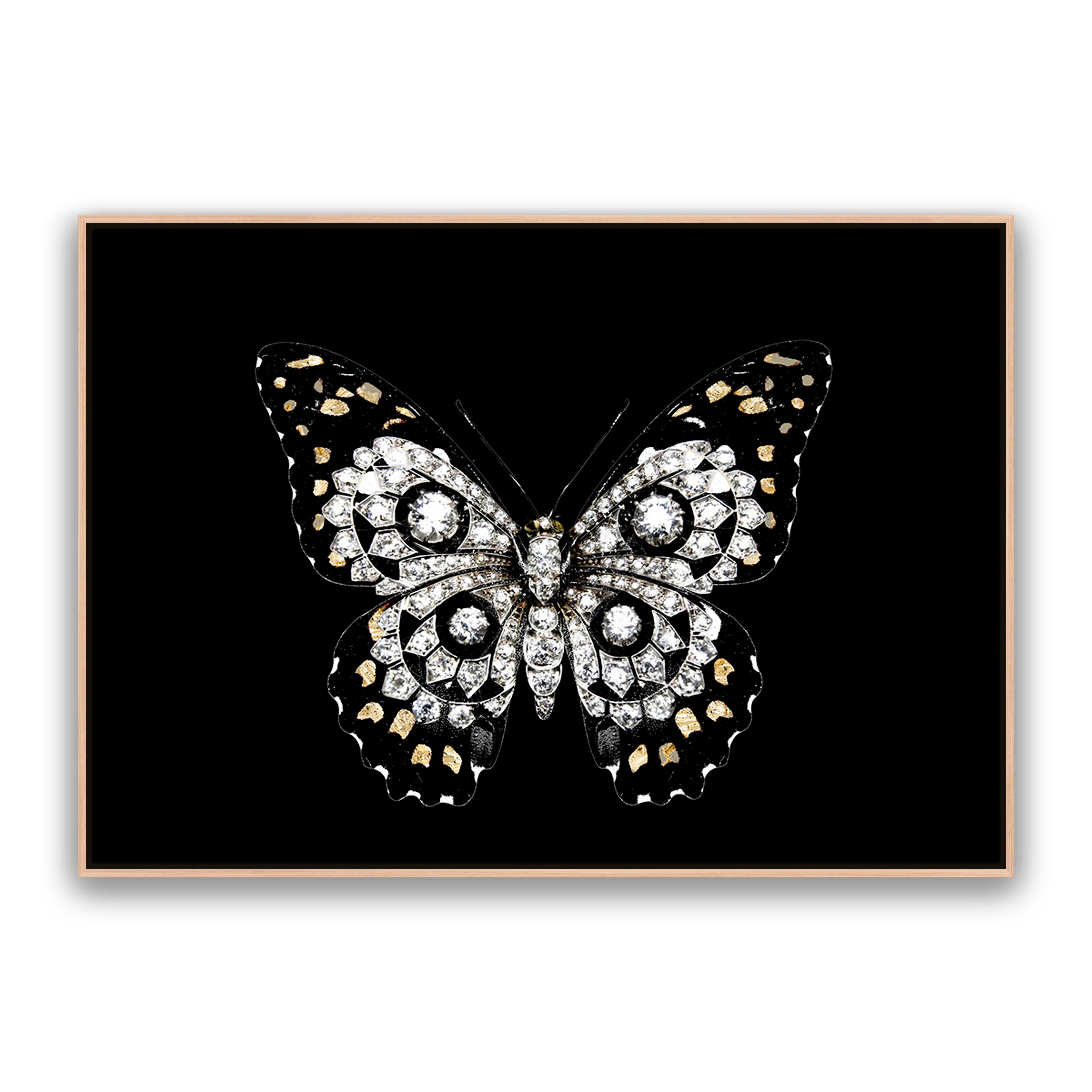 Jewel Butterfly