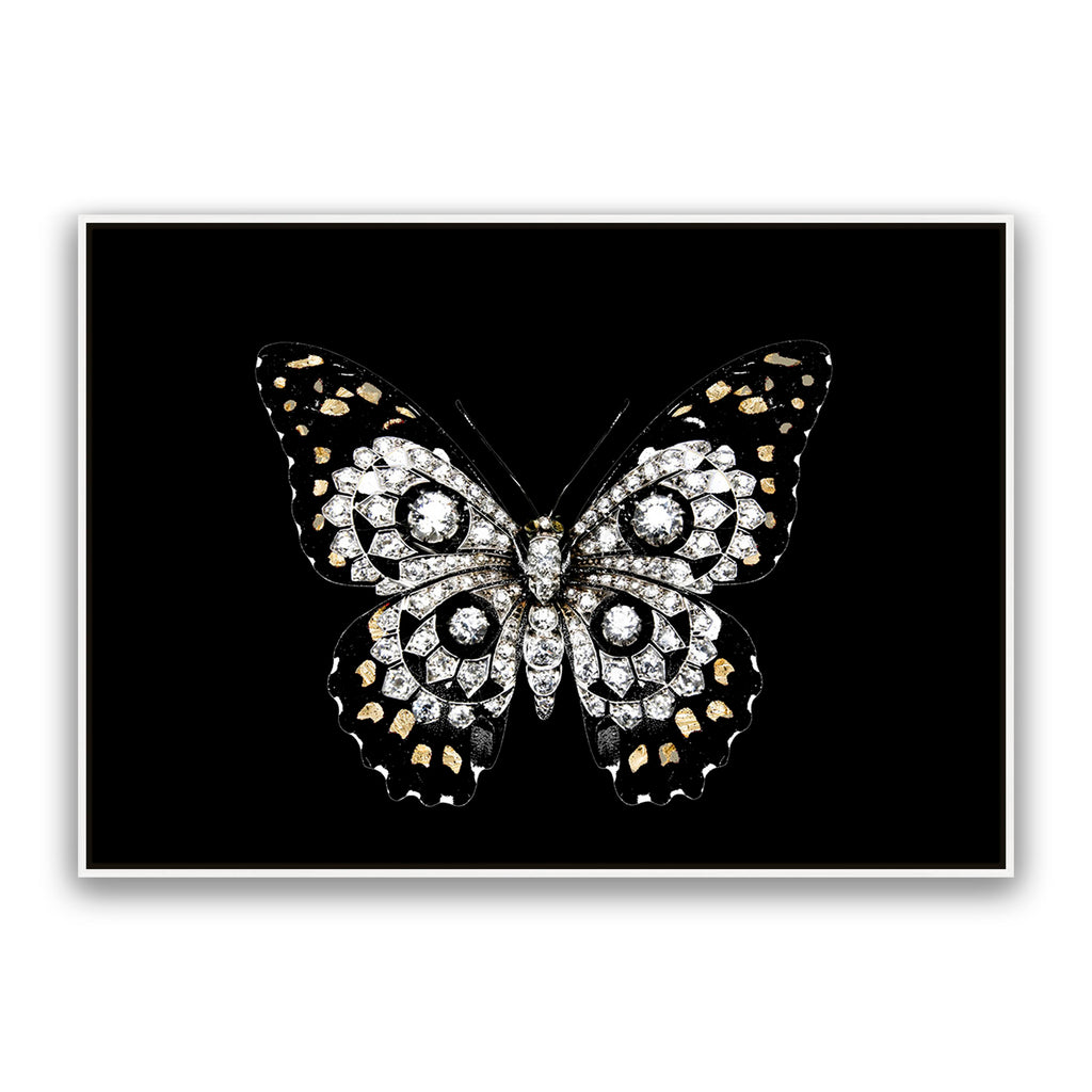 Jewel Butterfly