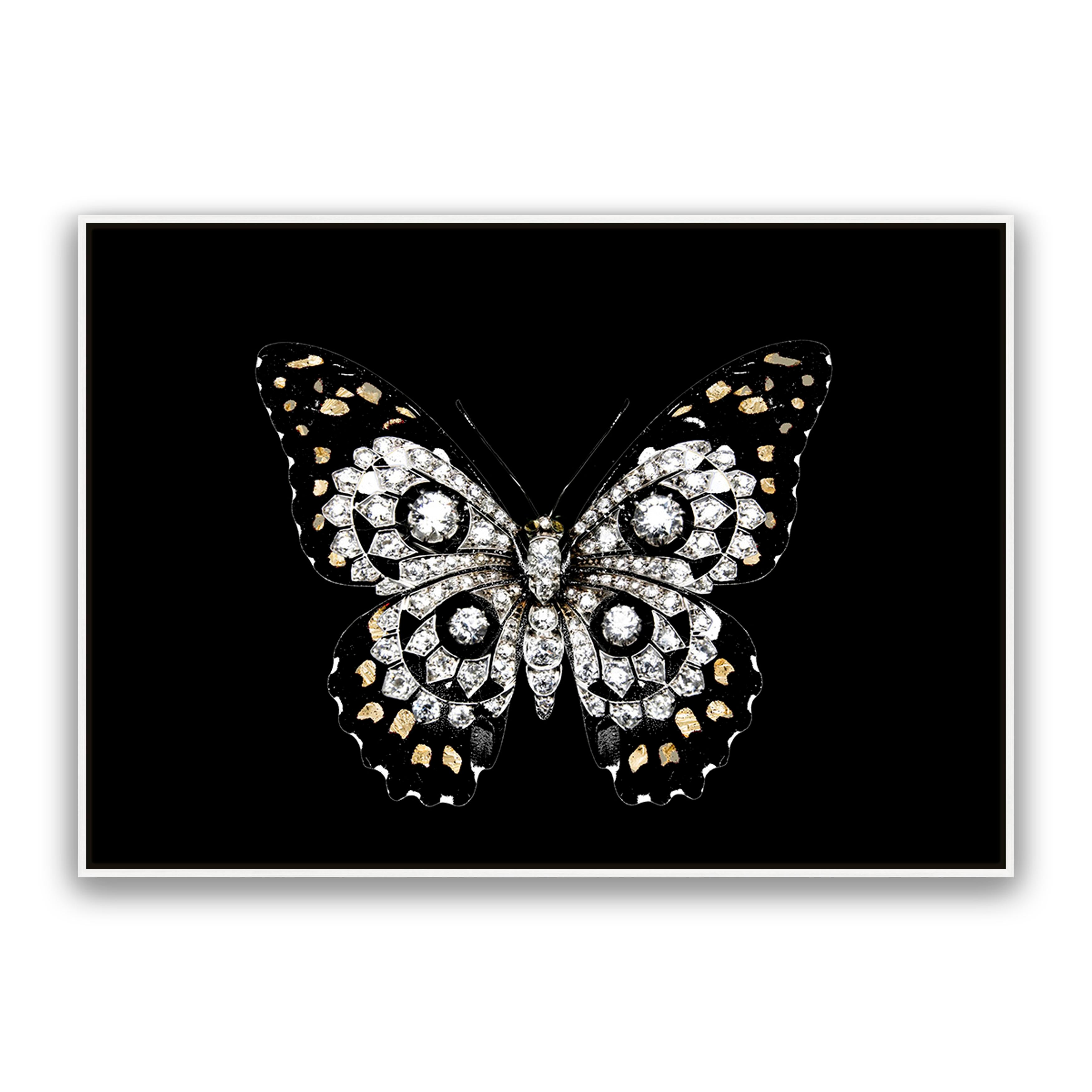 Jewel Butterfly