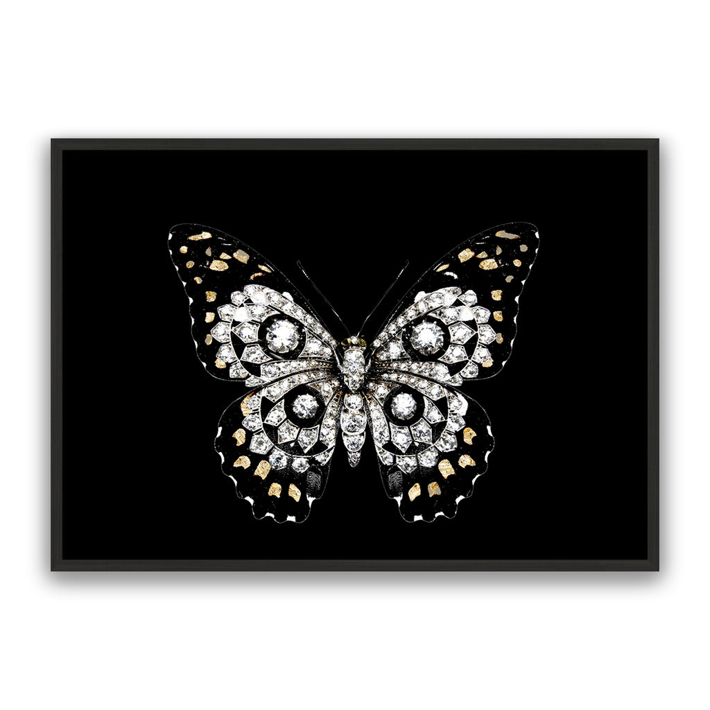 Jewel Butterfly