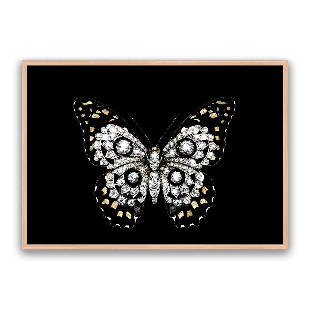 Jewel Butterfly