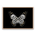 Jewel Butterfly
