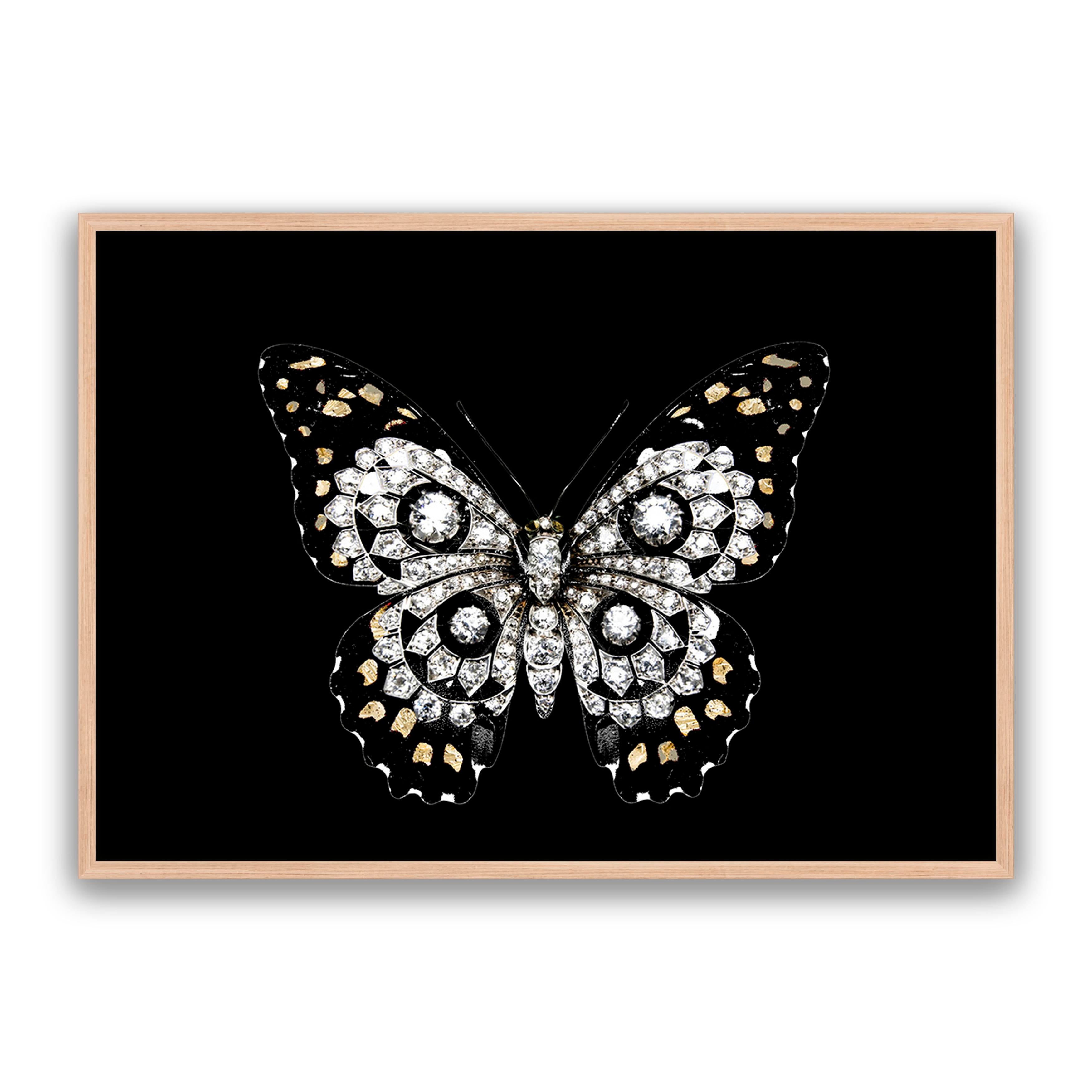 Jewel Butterfly