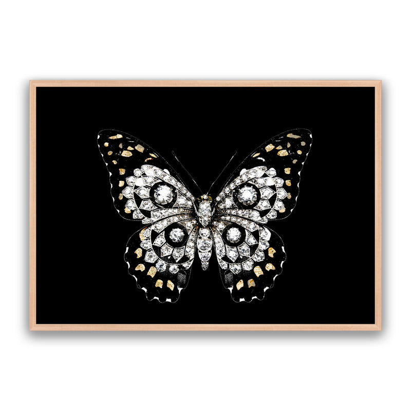 Jewel Butterfly