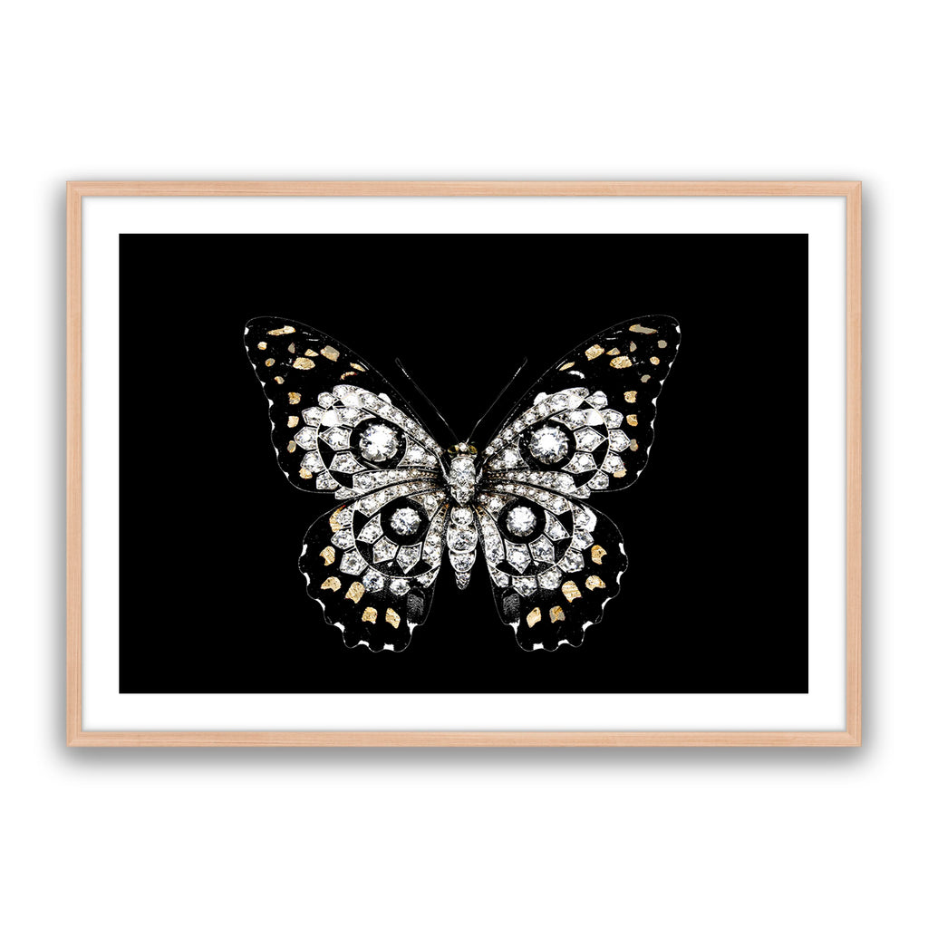 Jewel Butterfly