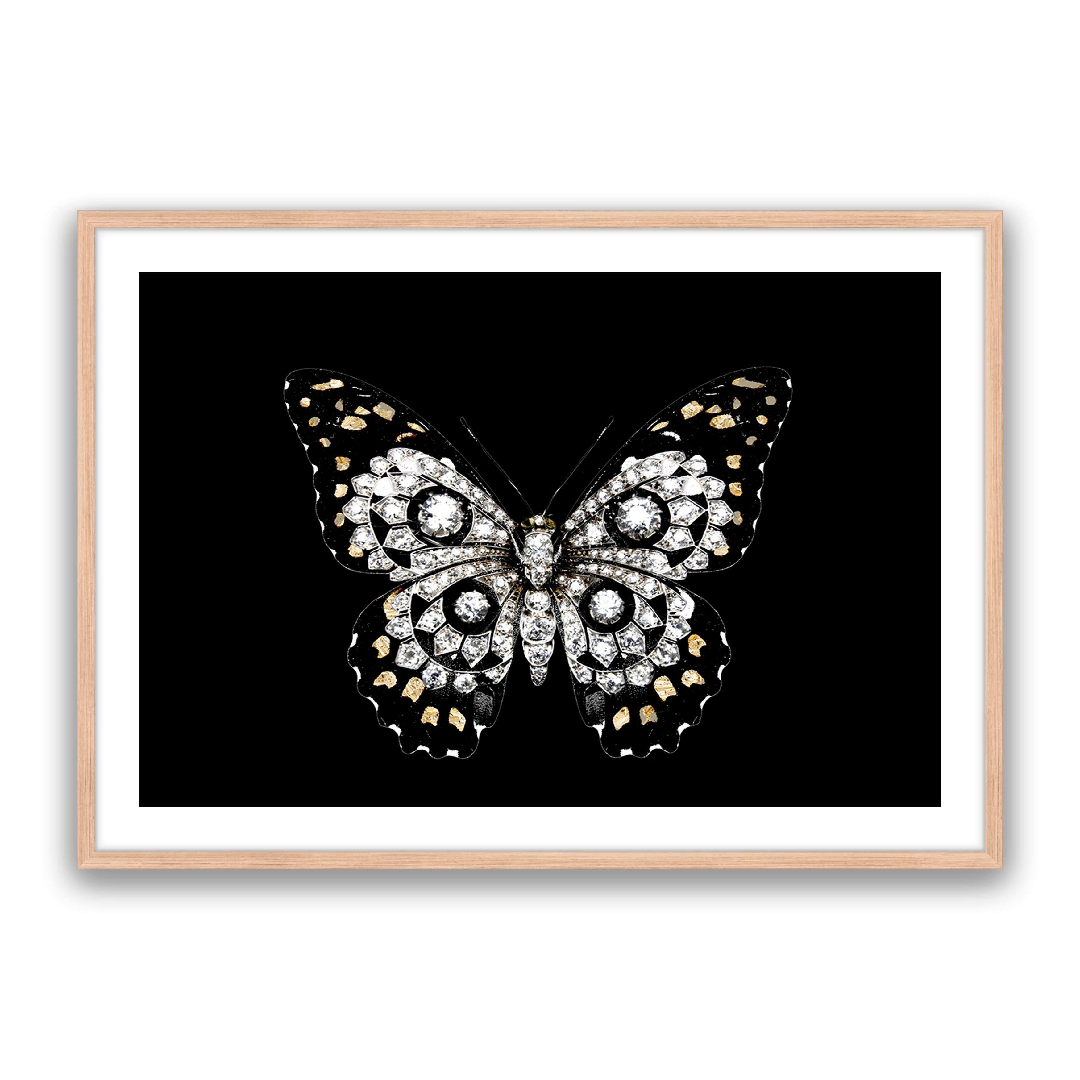 Jewel Butterfly