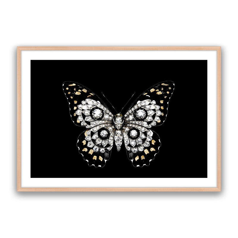 Jewel Butterfly