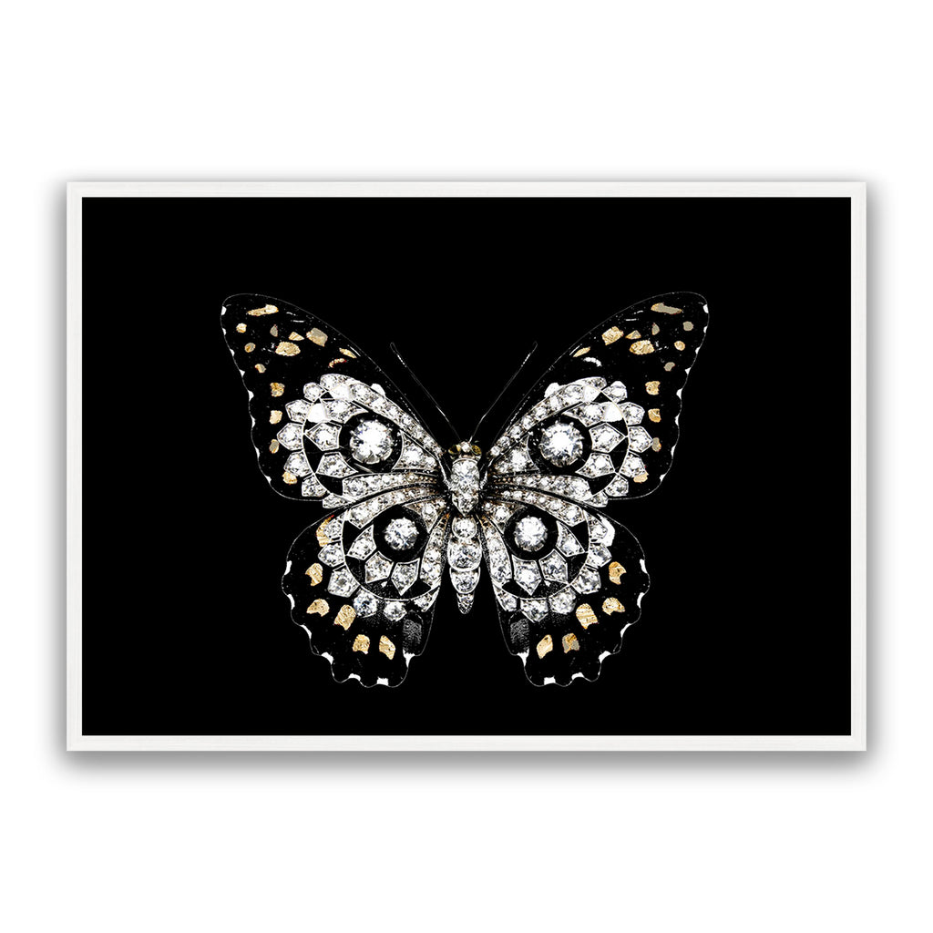 Jewel Butterfly