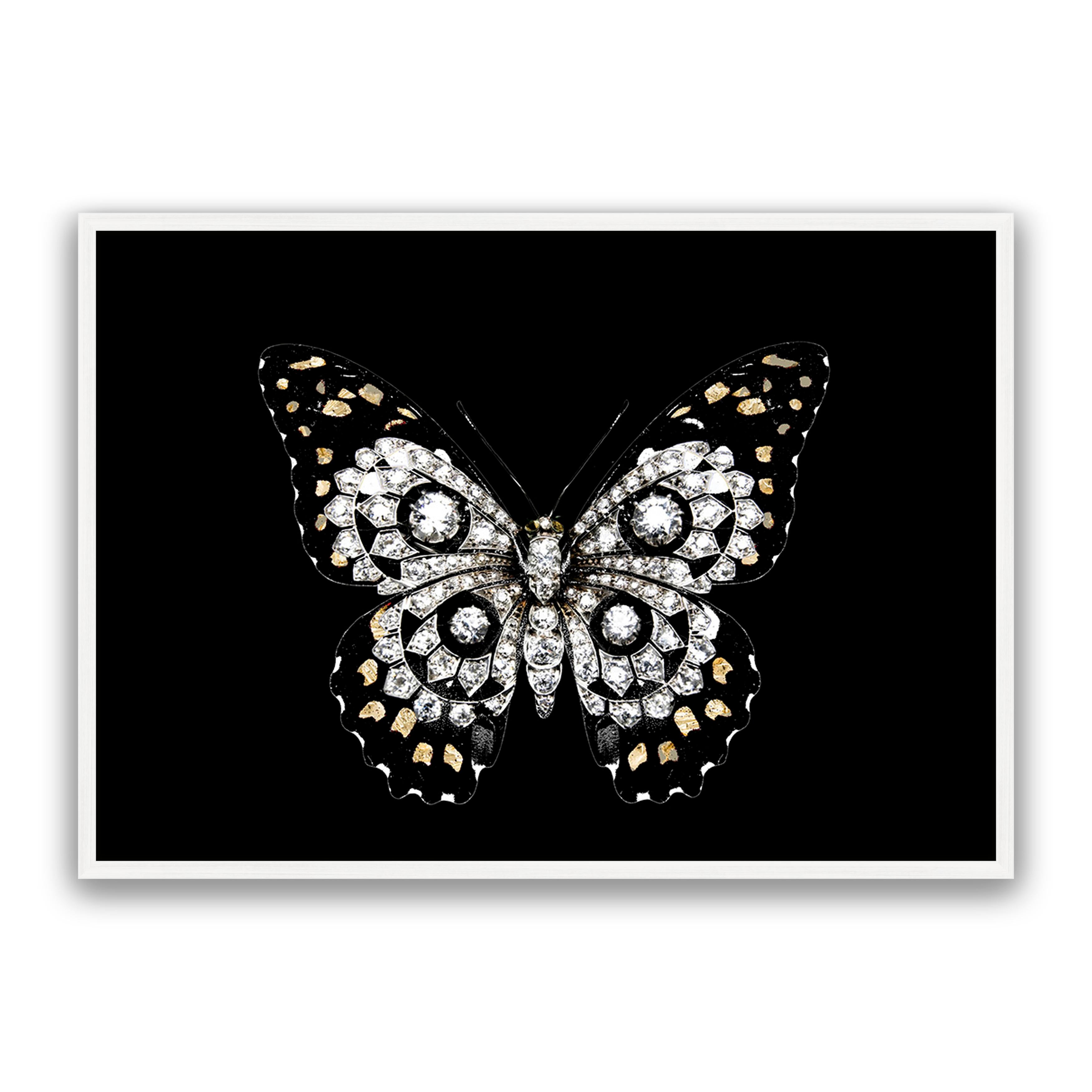 Jewel Butterfly