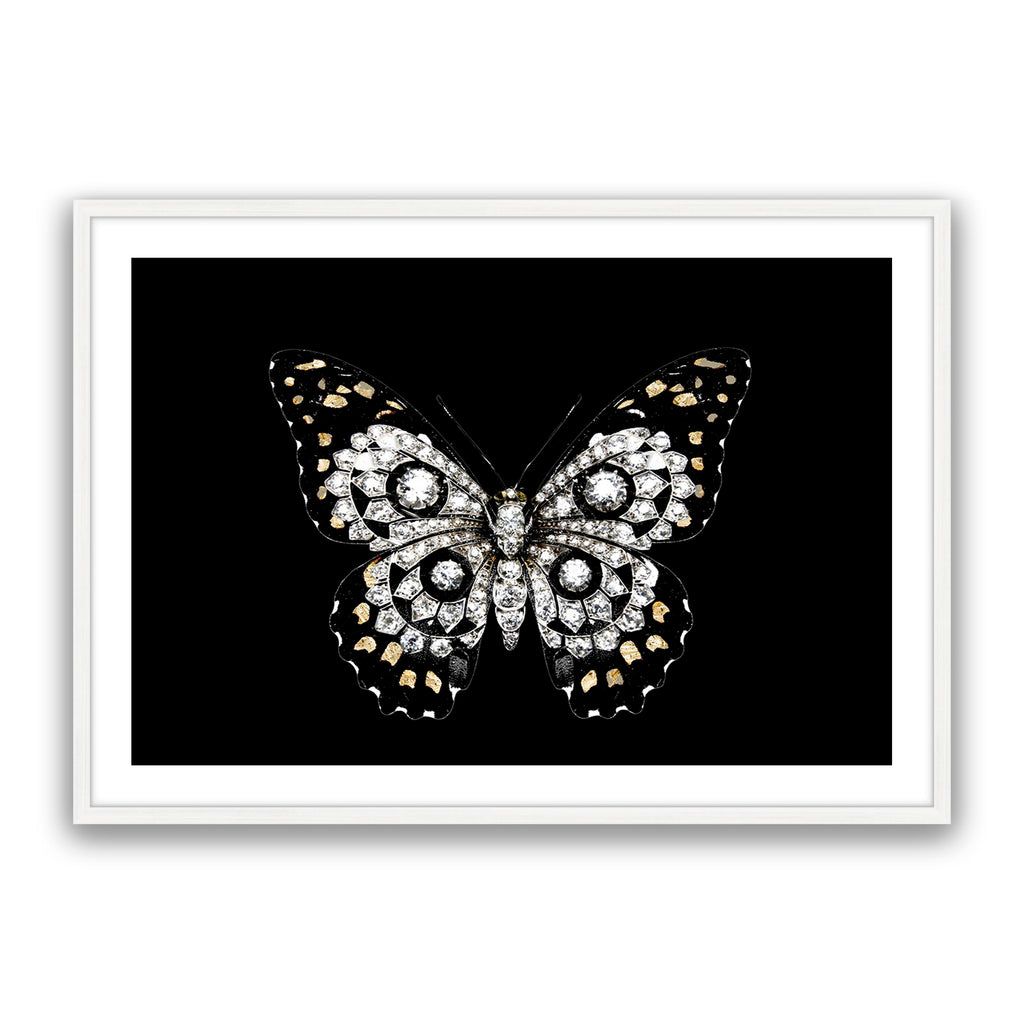 Jewel Butterfly