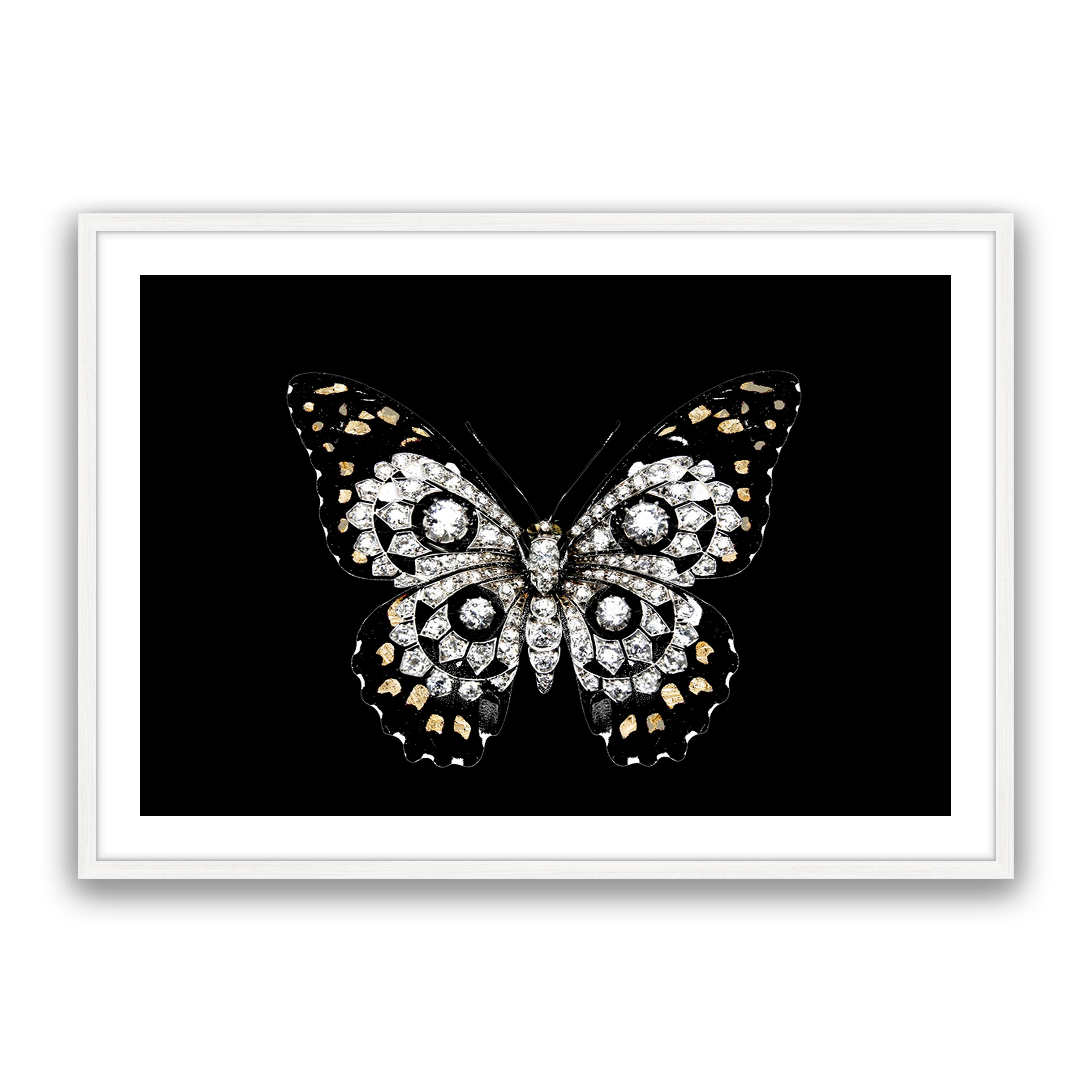 Jewel Butterfly