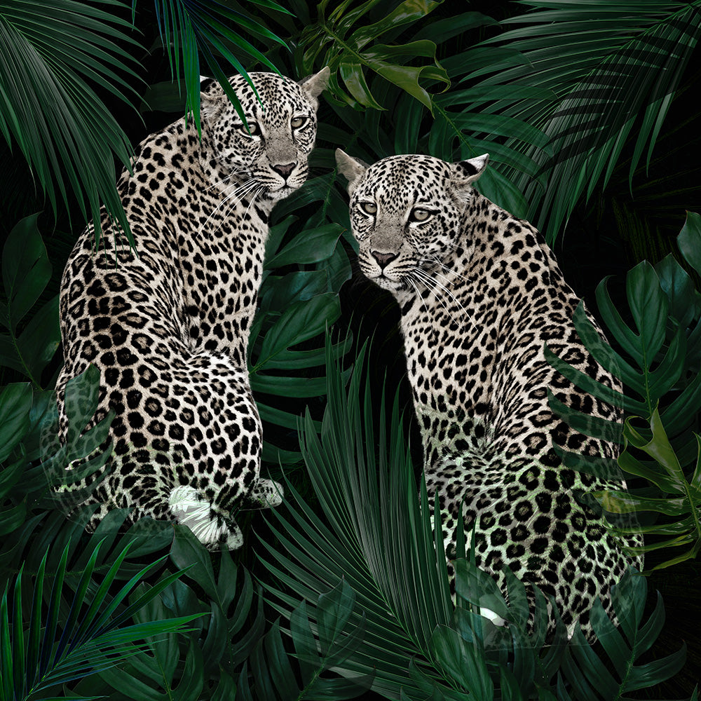 Jungle Fever