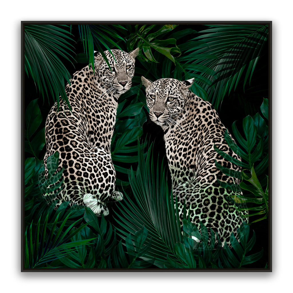 Jungle Fever
