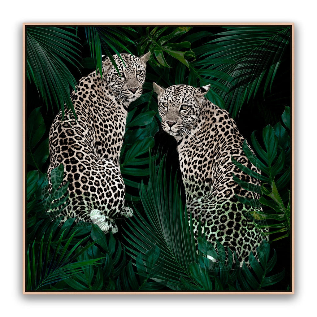 Jungle Fever