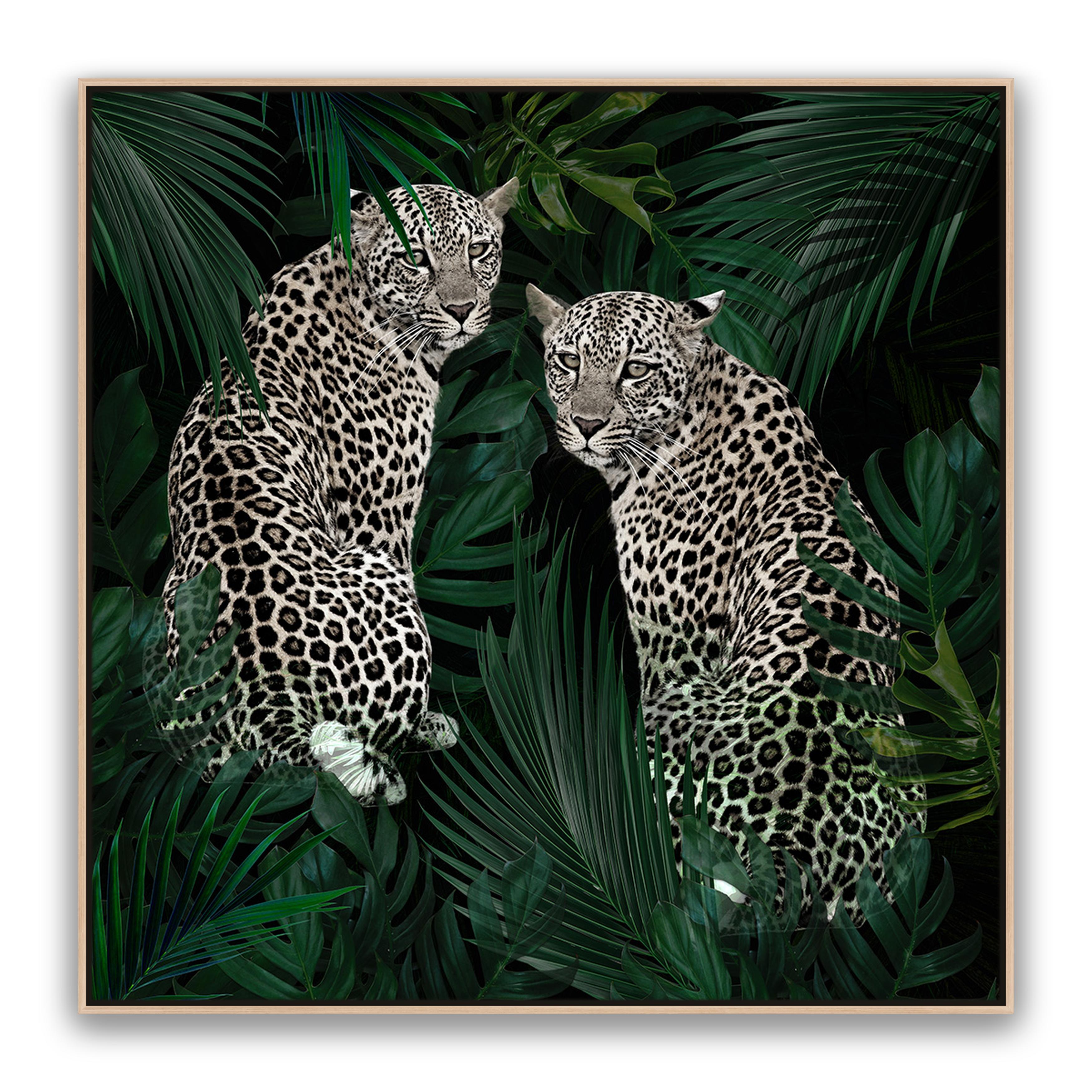Jungle Fever