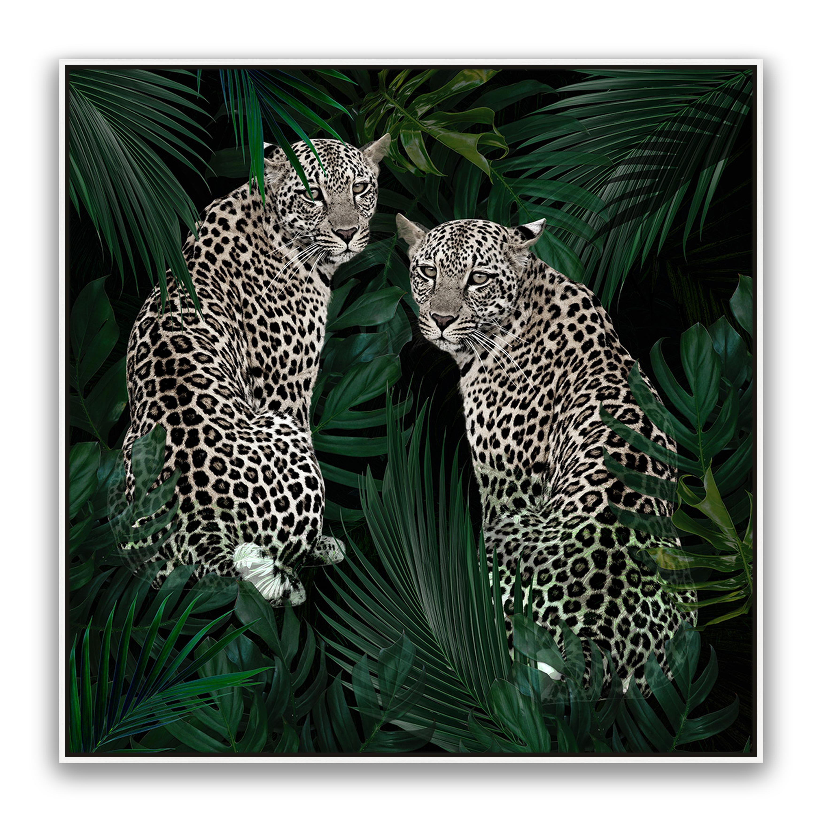 Jungle Fever