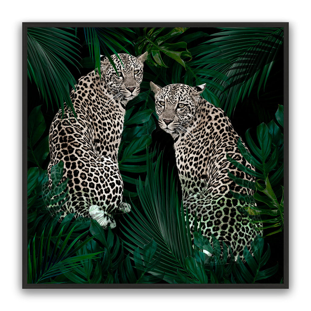 Jungle Fever