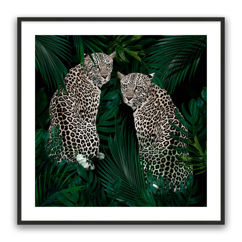 Jungle Fever