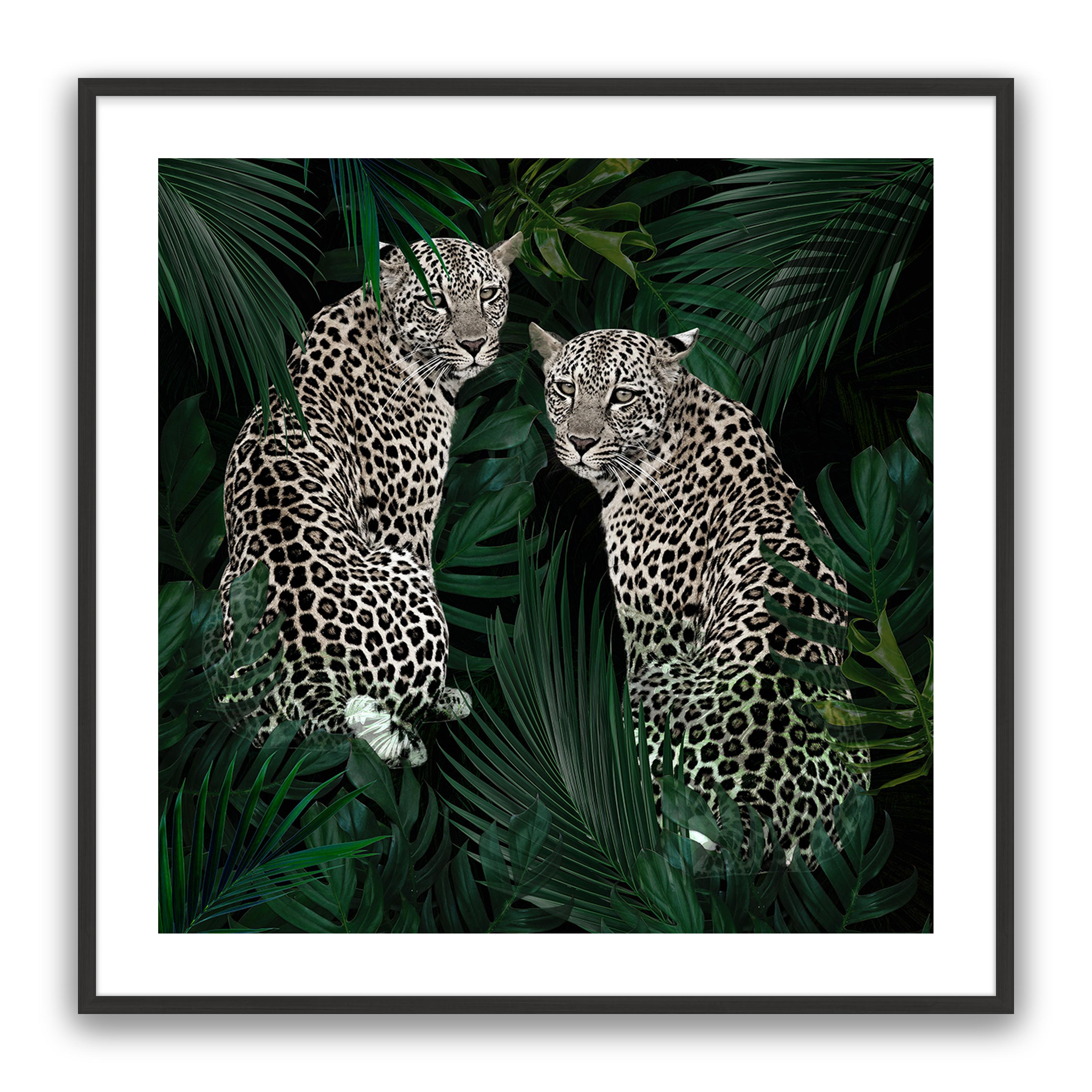 Jungle Fever