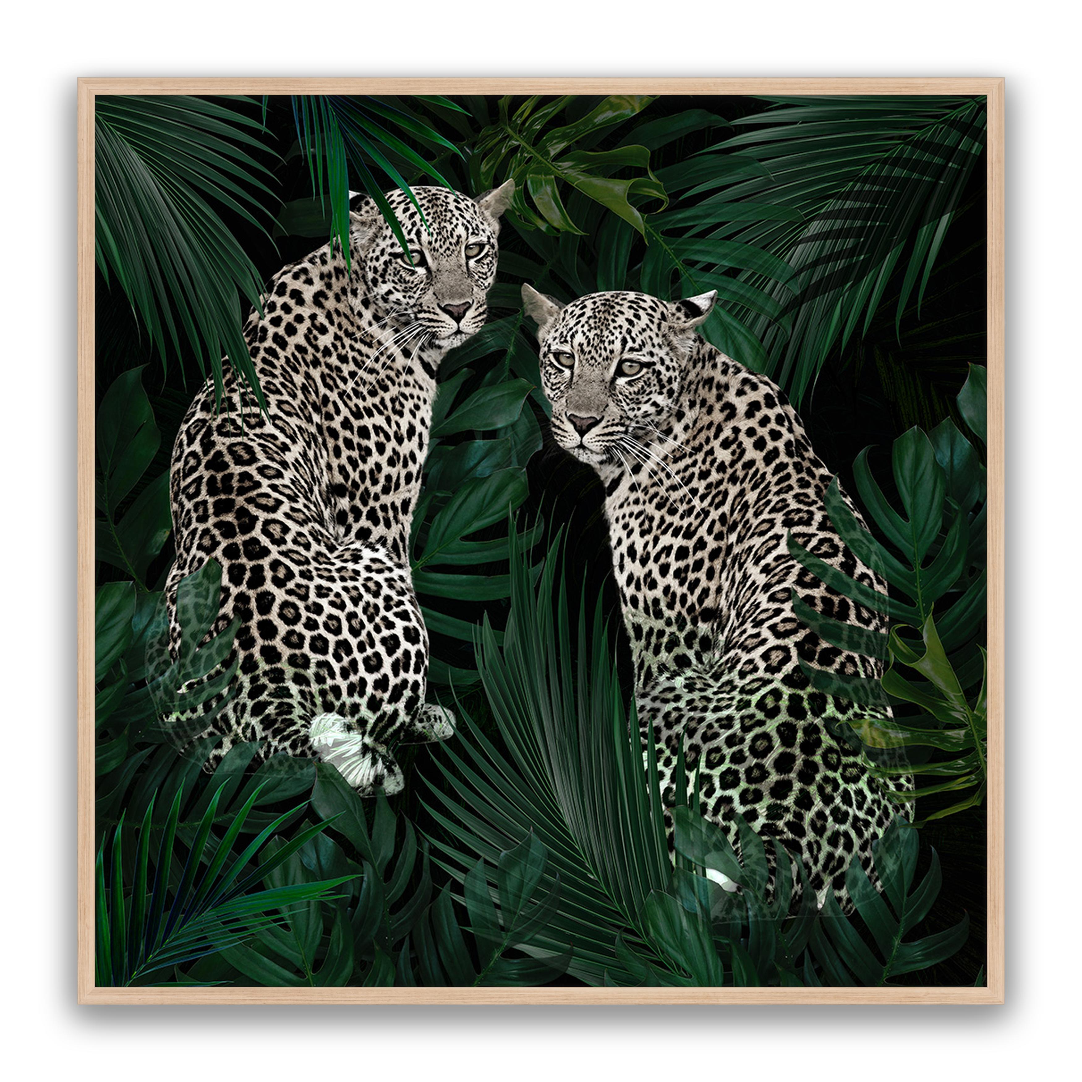 Jungle Fever