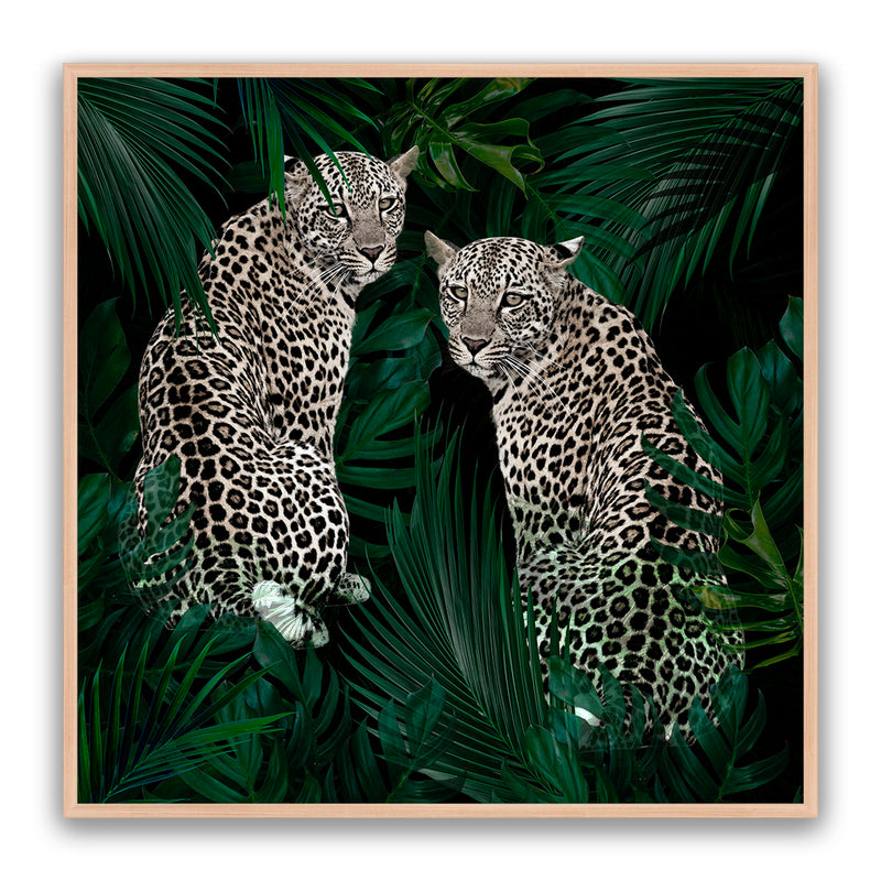 Jungle Fever