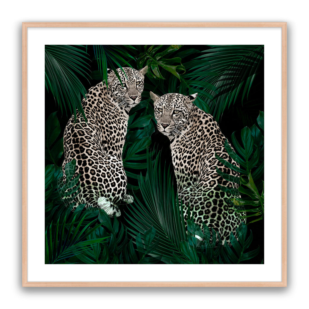 Jungle Fever