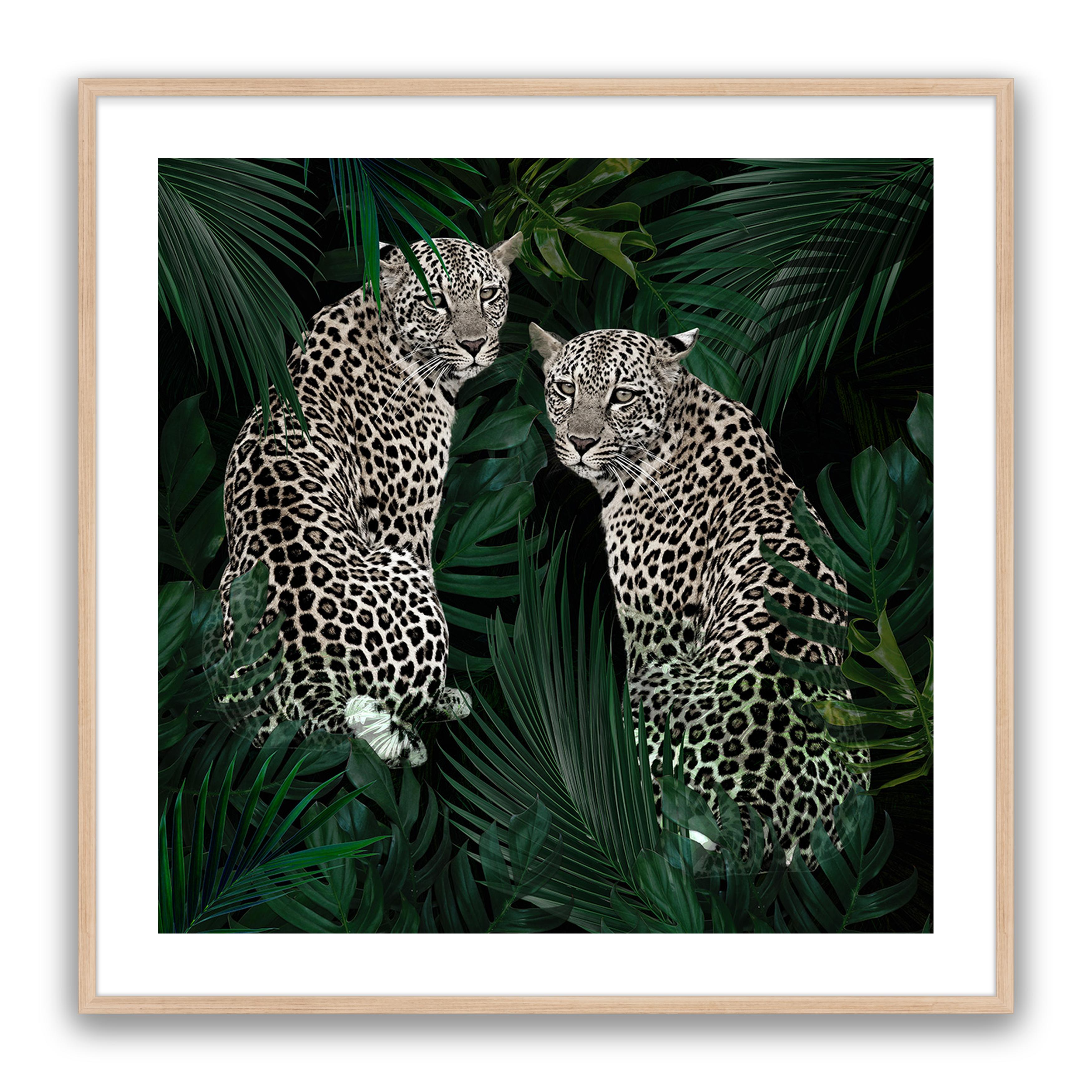 Jungle Fever