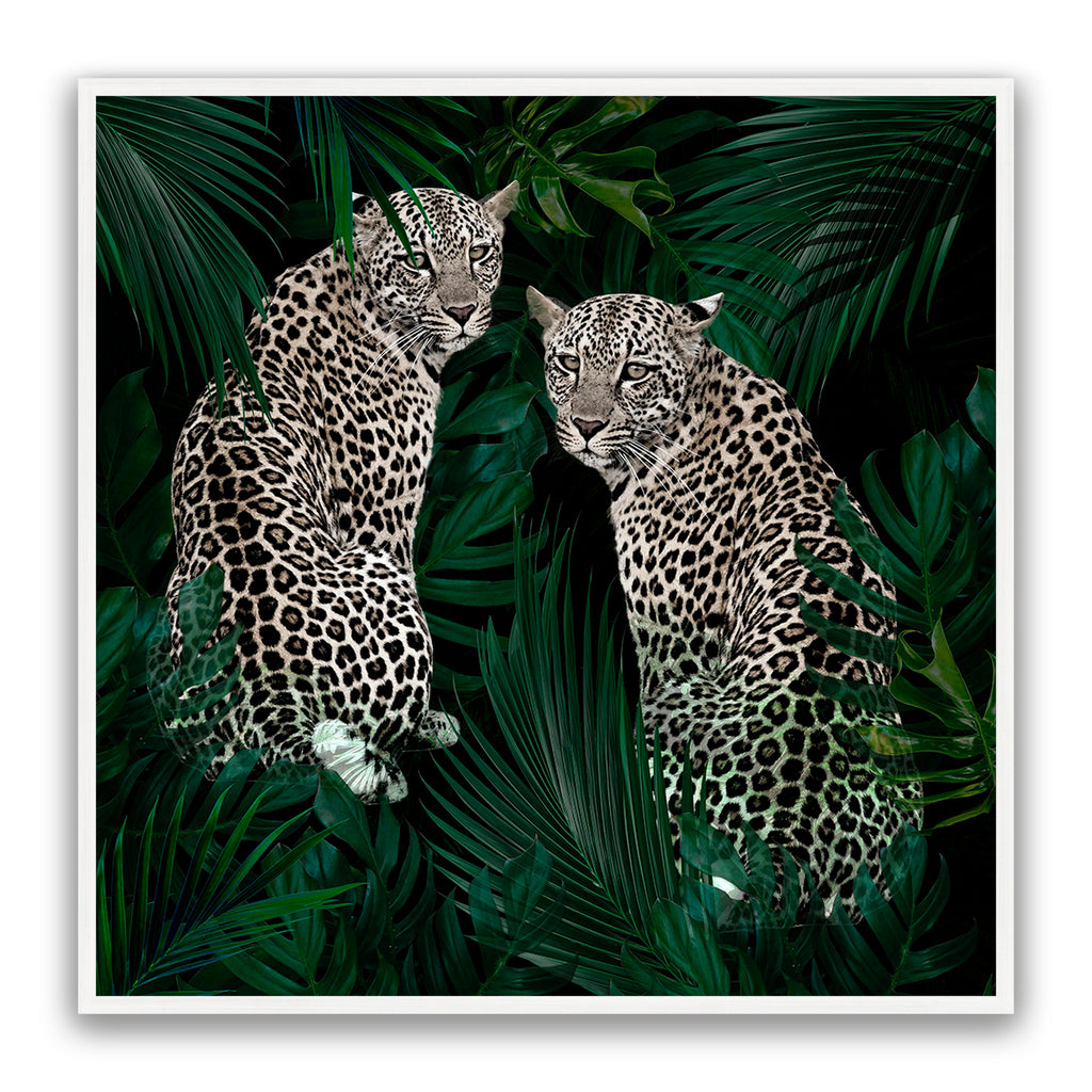 Jungle Fever