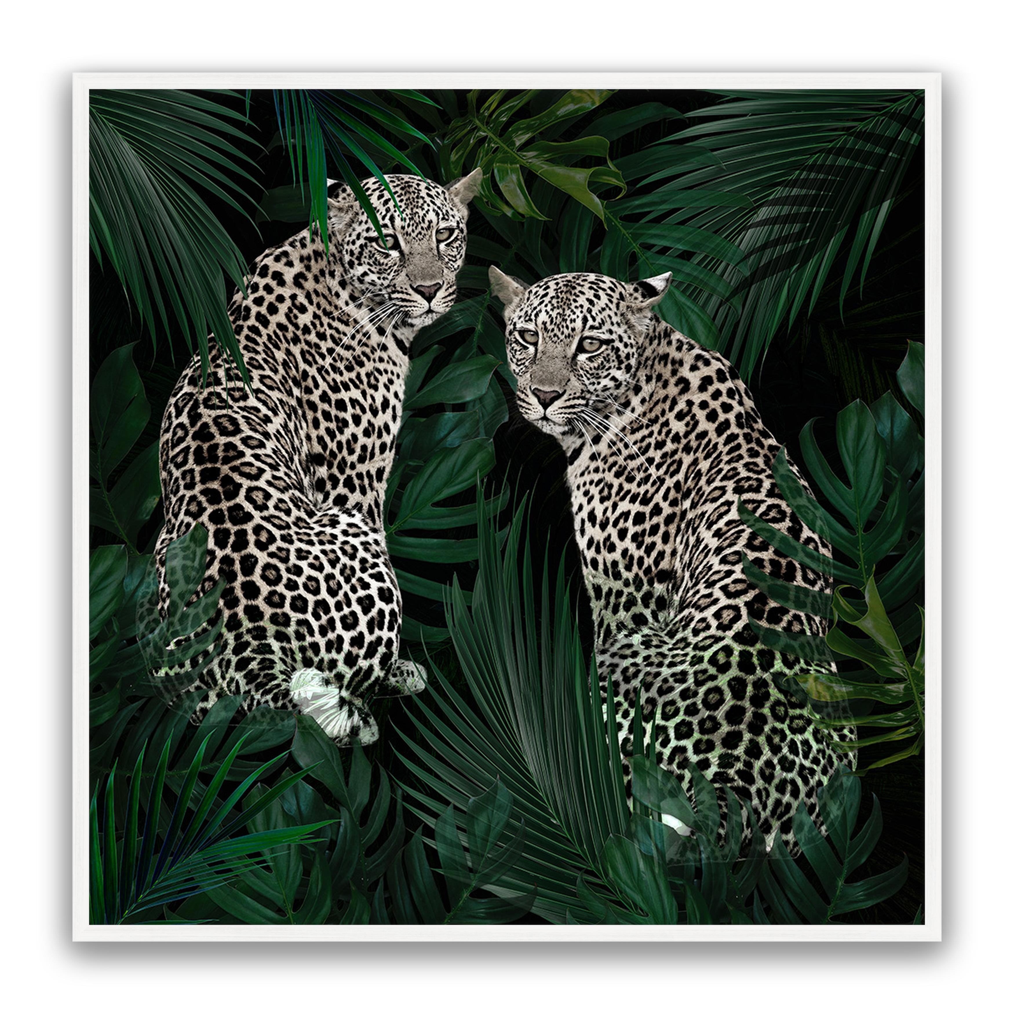 Jungle Fever
