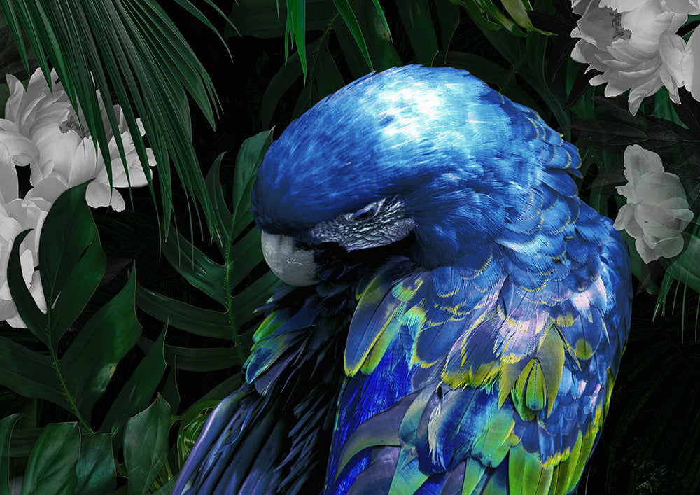 Zazu