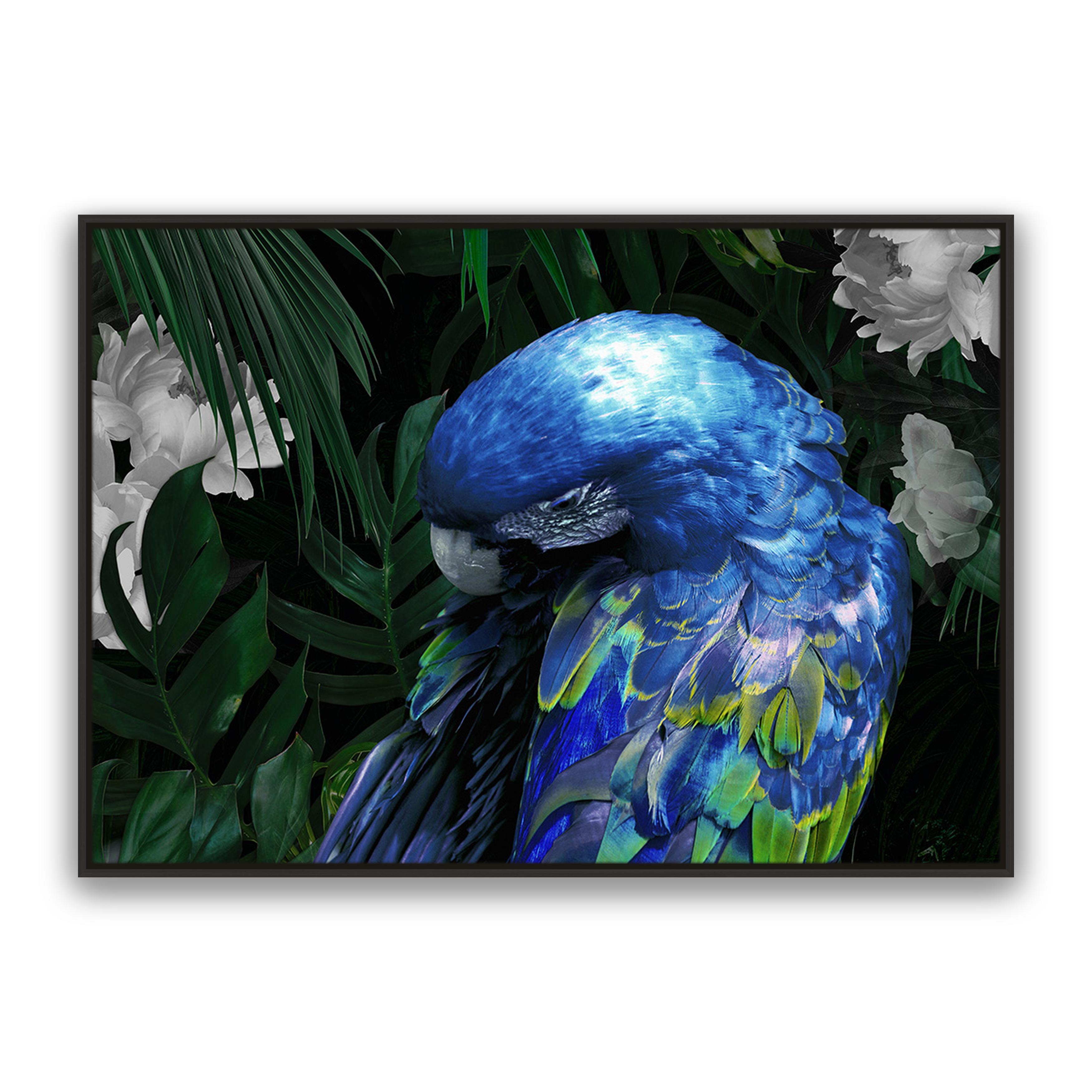 Zazu