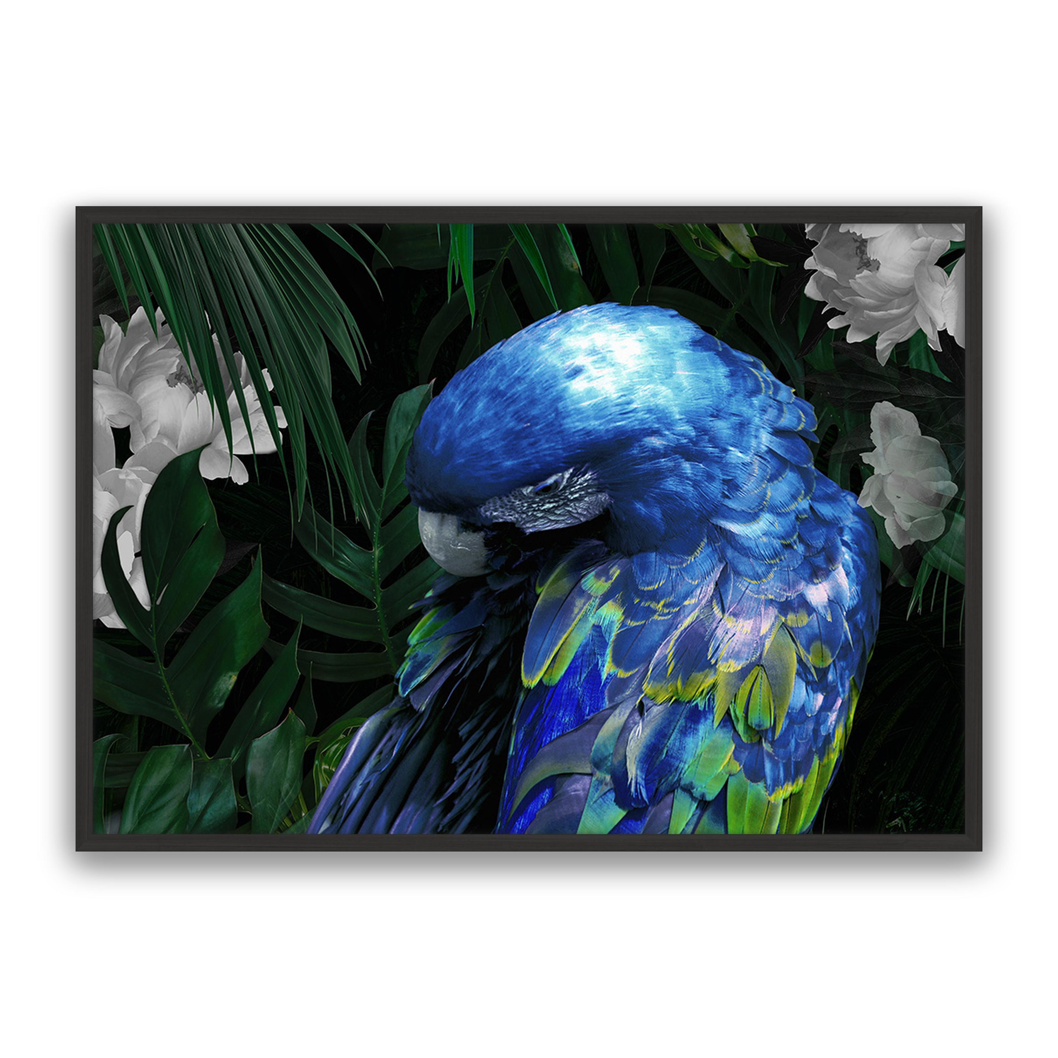 Zazu