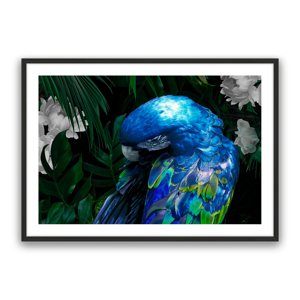 Zazu