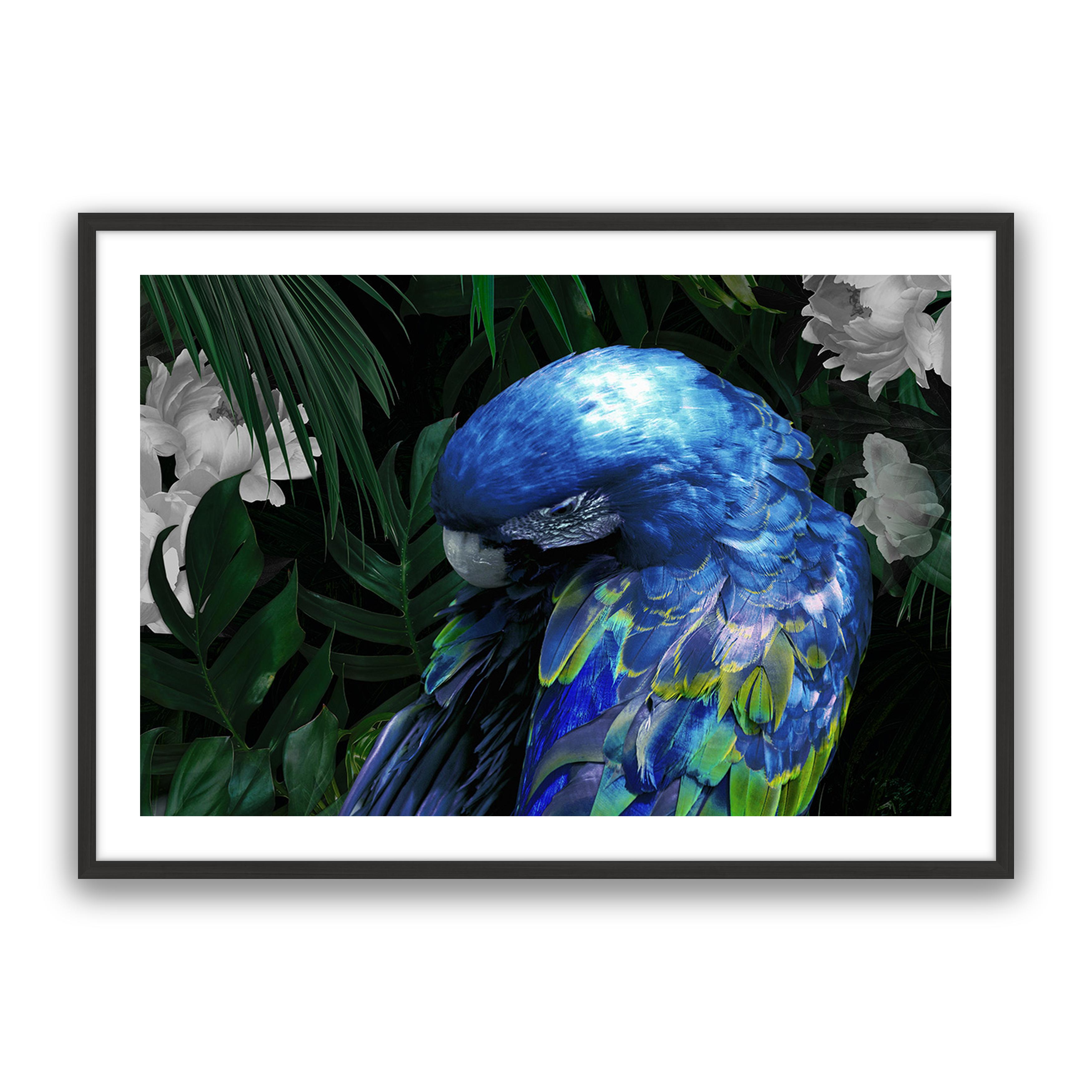 Zazu