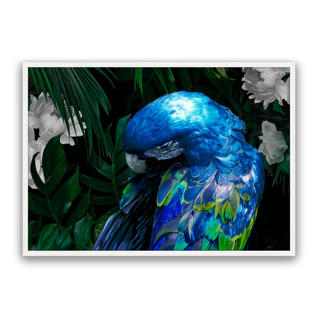 Zazu