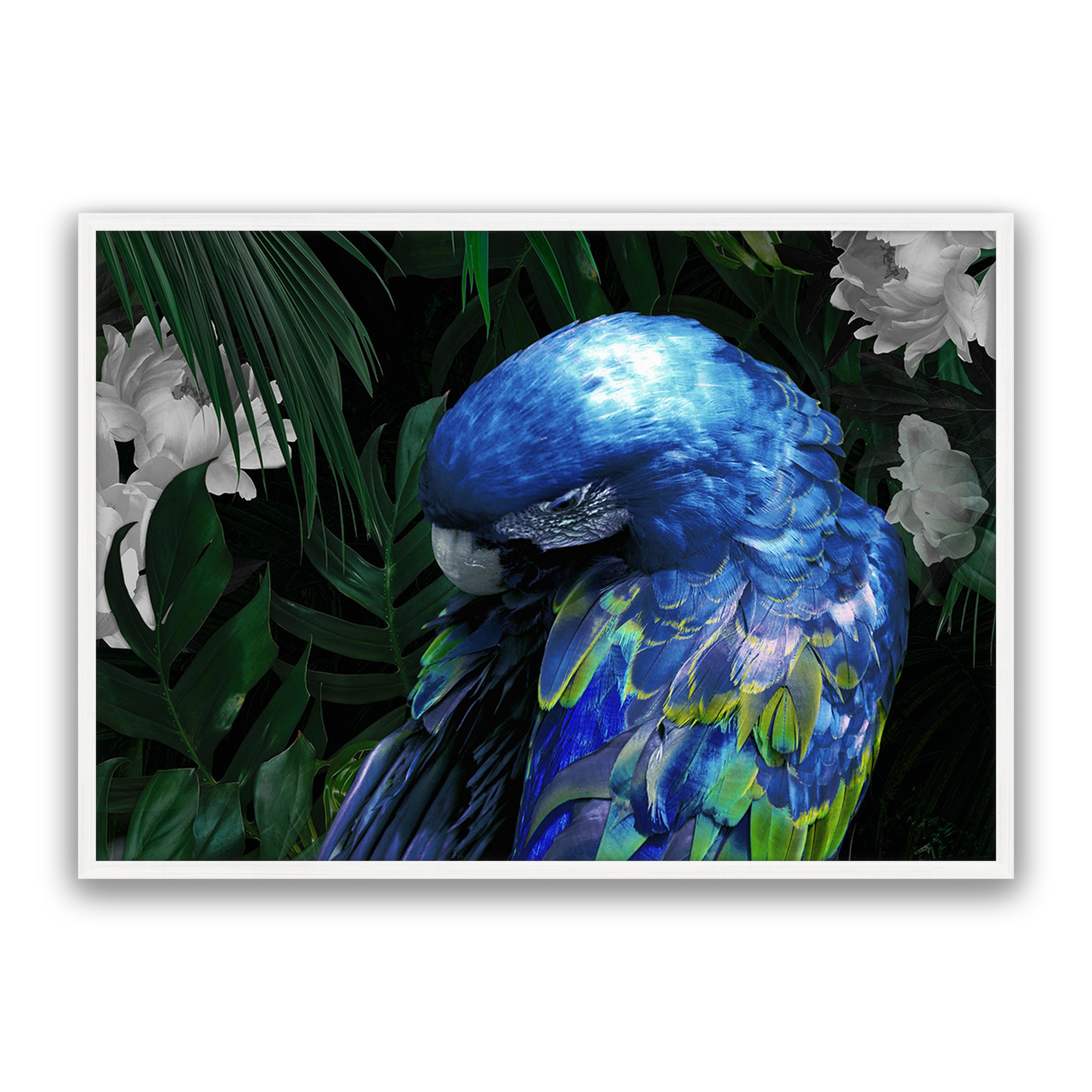 Zazu