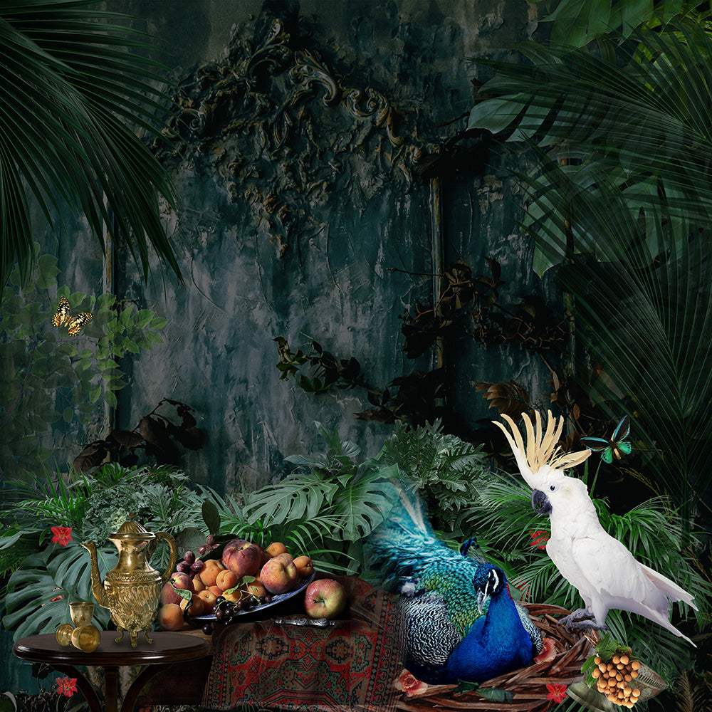 Forest Fantasy