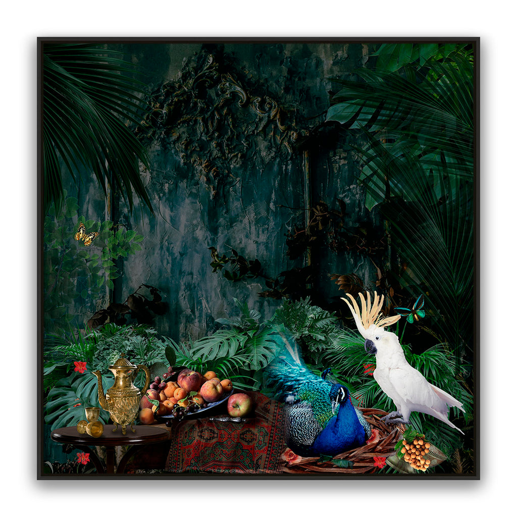Forest Fantasy
