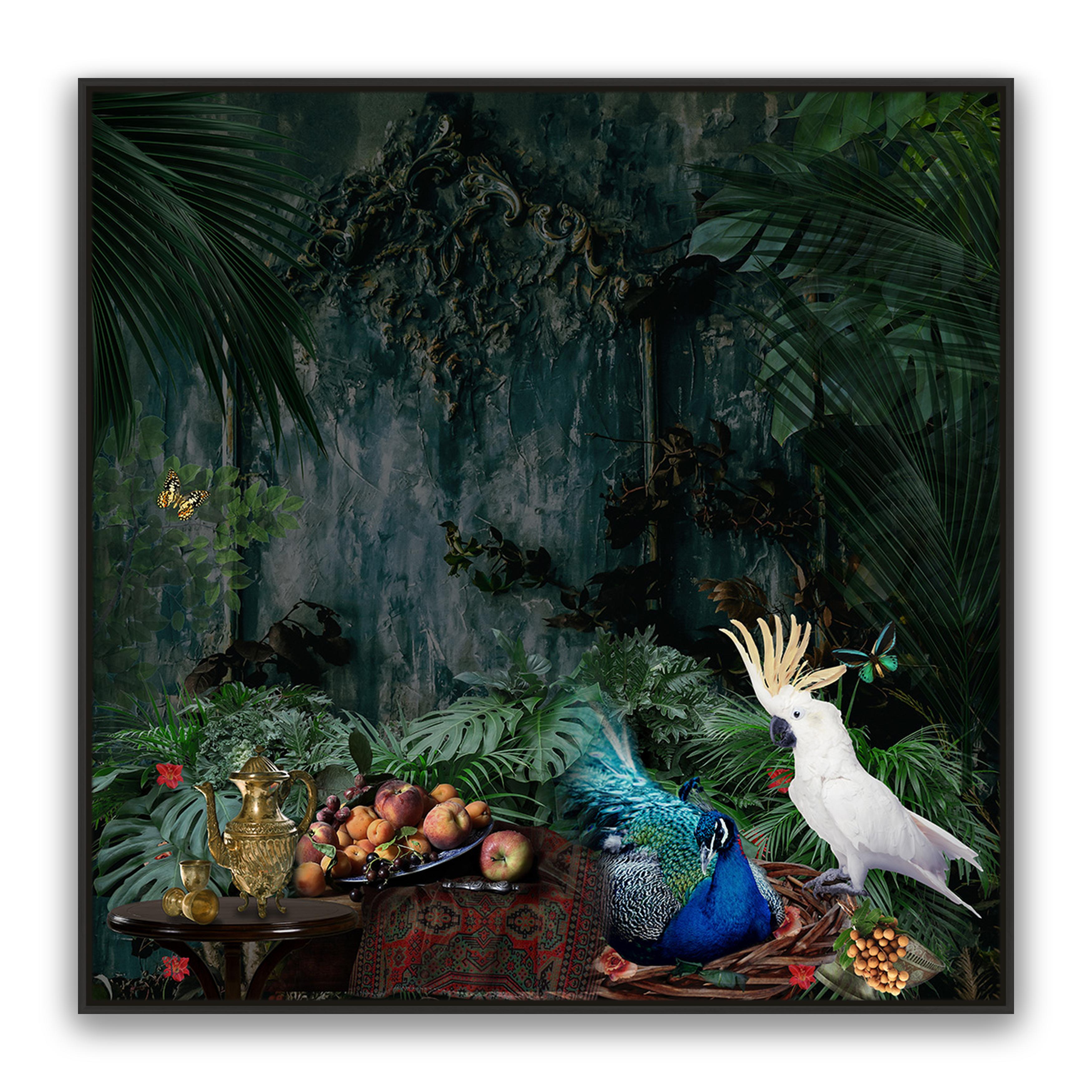 Forest Fantasy