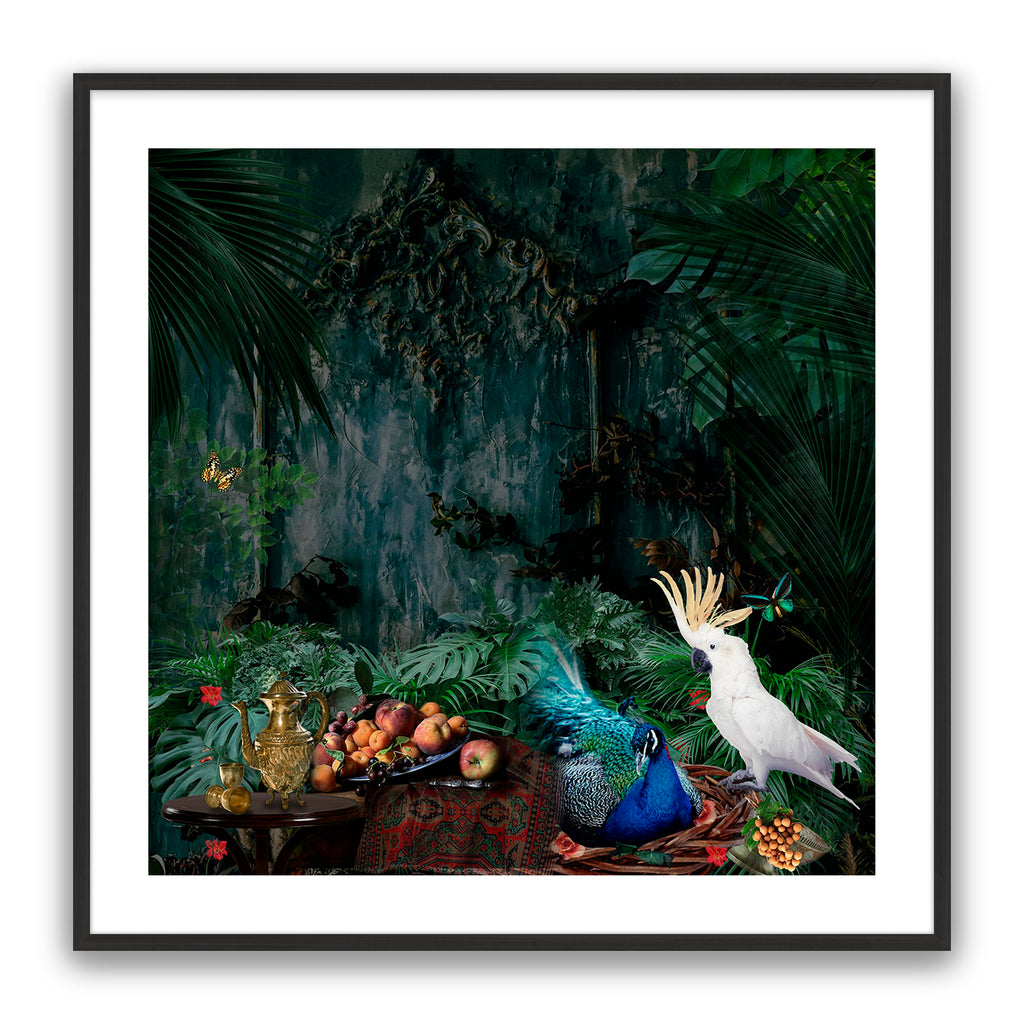Forest Fantasy