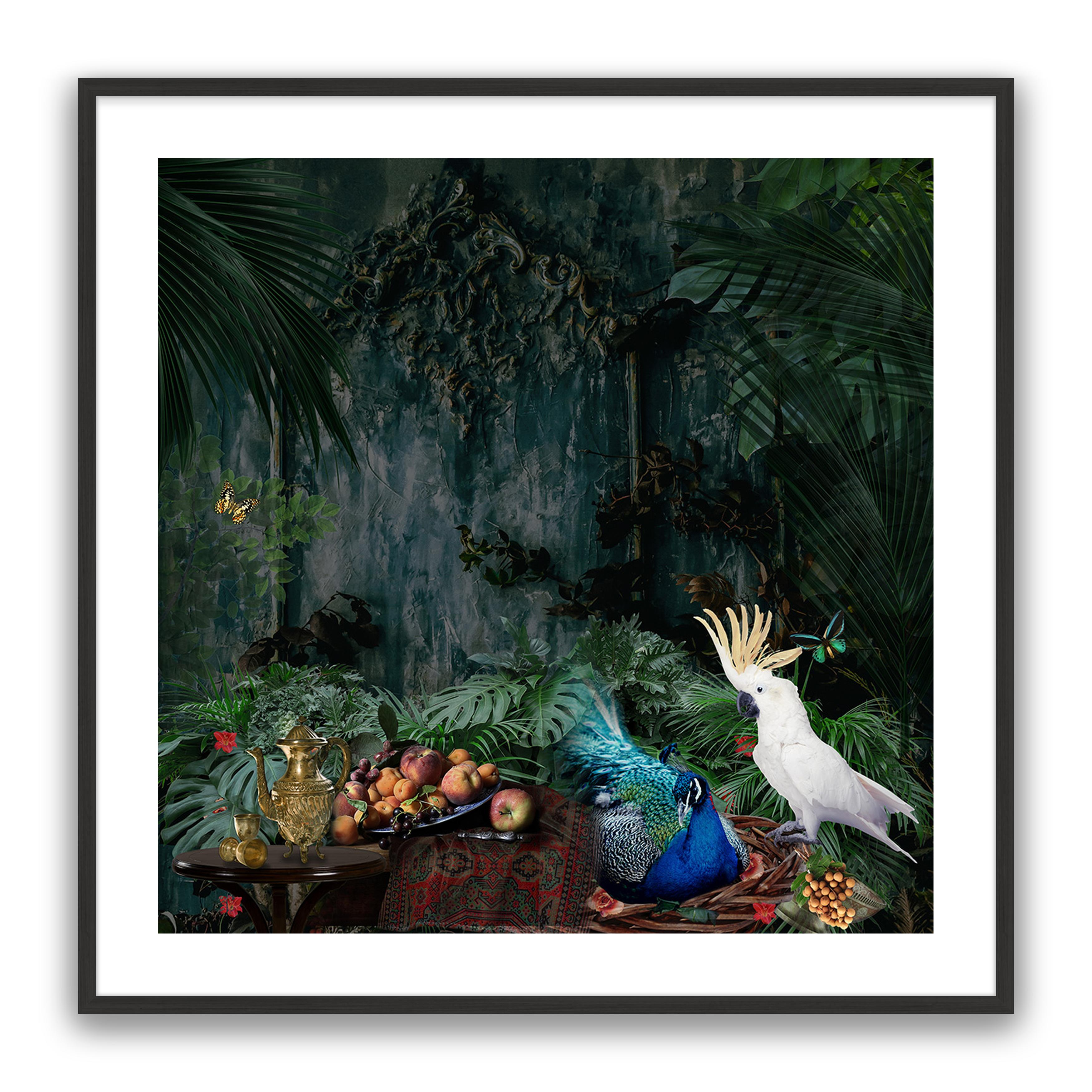 Forest Fantasy